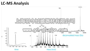 merck millipore,默克密理博,17-10388,Di-Ubiquitin (Lys63-linked) Recombinant Protein