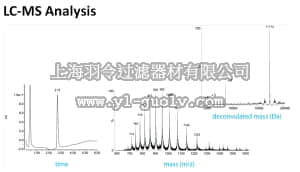 merck millipore,默克密理博,17-10408,Di-Ubiquitin (Lys48-linked) Recombinant Protein