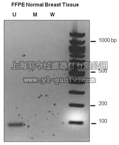 merck millipore,默克密理博,17-10452,CpGenome Direct Prep Bisulfite Modification Kit (200 Reactions)