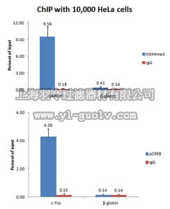 merck millipore,默克密理博,17-10461,EZ-Magna ChIP™ HiSens Chromatin Immunoprecipitation Kit