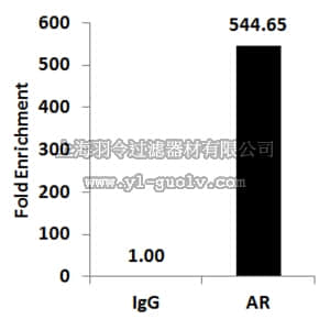 merck millipore,默克密理博,17-10489,ChIPAb+ Androgen Receptor- ChIP Validated Antibody and Primer Set