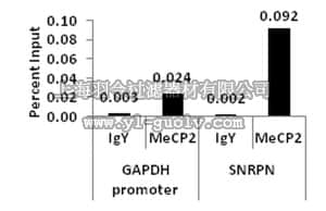 merck millipore,默克密理博,17-10491,ChIPAb+ MeCP2  - ChIP Validated Antibody and Primer Set