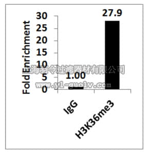 merck millipore,默克密理博,17-10493,ChIPAb+ Trimethyl-Histone H3 (Lys36) - ChIP Validated Antibody and Primer Set