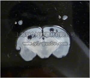 merck millipore,默克密理博,17-20000,Magna ChIP™ G Tissue Kit