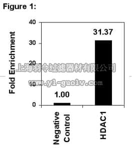merck millipore,默克密理博,17-608,ChIPAb+ HDAC1 - ChIP Validated Antibody and Primer Set