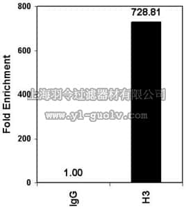 merck millipore,默克密理博,17-615,ChIPAb+ Acetyl-Histone H3 - ChIP Validated Antibody and Primer Set