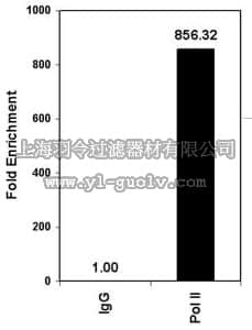 merck millipore,默克密理博,17-620,ChIPAb+ RNA Pol II - ChIP Validated Antibody and Primer Set