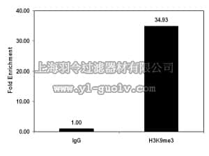 merck millipore,默克密理博,17-625,ChIPAb+ Trimethyl-Histone H3 (Lys9) - ChIP Validated Antibody and Primer Set
