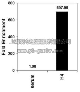 merck millipore,默克密理博,17-630,ChIPAb+ Acetyl-Histone H4 - ChIP Validated Antibody and Primer Set
