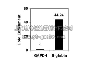 merck millipore,默克密理博,17-648,ChIPAb+ Dimethyl-Histone H3 (Lys9) - ChIP Validated Antibody and Primer Set