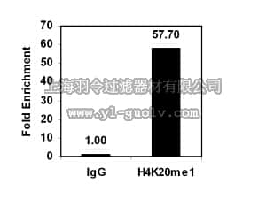 merck millipore,默克密理博,17-651,ChIPAb+ Monomethyl-Histone H4 (Lys20) - ChIP Validated Antibody and Primer Set