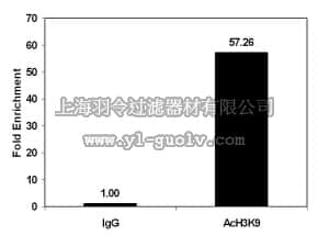 merck millipore,默克密理博,17-658,ChIPAb+ Acetyl-Histone H3 (Lys9) Purified - ChIP Validated Antibody and Primer Set