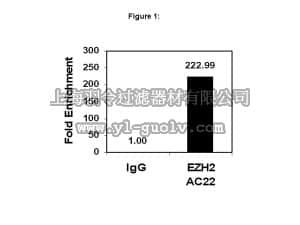 merck millipore,默克密理博,17-662,ChIPAb+ EZH2, clone AC22 - ChIP Validated Antibody and Primer Set