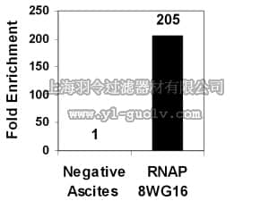 merck millipore,默克密理博,17-672,ChIPAb+ RNA Pol II - ChIP Validated Antibody and Primer Set
