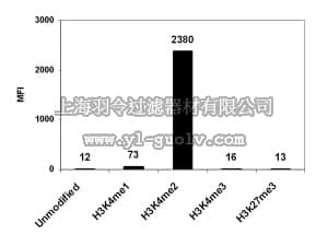 merck millipore,默克密理博,17-677,ChIPAb+ Dimethyl-Histone H3 (Lys4) - ChIP Validated Antibody and Primer Set