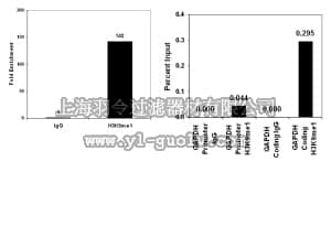 merck millipore,默克密理博,17-680,ChIPAb+ Monomethyl-Histone H3 (Lys9) - ChIP Validated Antibody and Primer Set