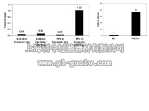 merck millipore,默克密理博,17-683,ChIPAb+ Acetyl-Histone H3 (Lys27) - ChIP Validated Antibody and Primer Set