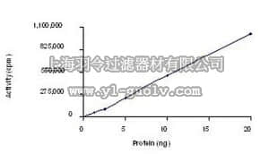 merck millipore,默克密理博,171536,AMPK (α1/β1/γ1), His•Tag, Human, Recombinant, S. frugiperda