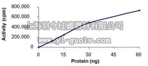 merck millipore,默克密理博,171538,AMPK (α1/β1/γ2), His•Tag, Human, Recombinant, S. frugiperda