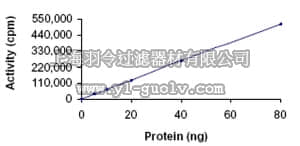 merck millipore,默克密理博,171539,AMPK (α2/β1/γ1), His•Tag, Human, Recombinant,S. frugiperda
