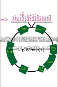merck millipore,默克密理博,21-147,pUSEamp (+)