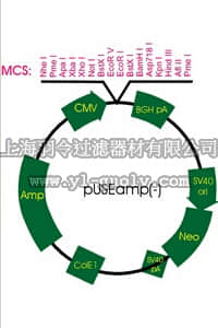 merck millipore,默克密理博,21-148,pUSEamp (-)