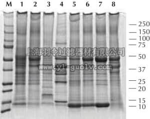 merck millipore,默克密理博,2140,Total Protein Extraction Kit