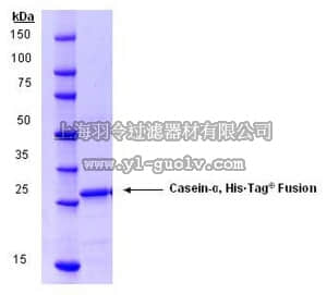 merck millipore,默克密理博,218683,Casein-α, His•Tag Fusion