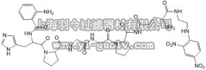 merck millipore,默克密理博,219555,Cathepsin K Substrate II, Fluorogenic - Calbiochem