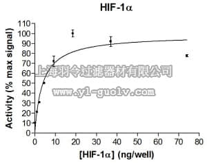 merck millipore,默克密理博,23-045M,HIF-1α Protein, 250 µg