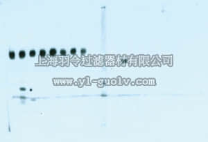 merck millipore,默克密理博,2520,Blot Restore Membrane Rejuvination Kit, 10x