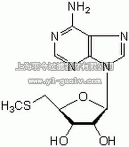 merck millipore,默克密理博,260585,5ʹ-Deoxy-5ʹ-methylthioadenosine - CAS 2457-80-9 - Calbiochem