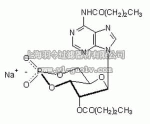 merck millipore,默克密理博,28745,Adenosine 3ʹ,5ʹ-cyclic Monophosphate, N⁶,O2ʹ-Dibutyryl-, Sodium Salt - CAS 16980-89-5 - Calbiochem