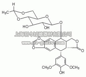 merck millipore,默克密理博,341205,Etoposide - CAS 33419-42-0 - Calbiochem
