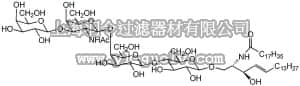 merck millipore,默克密理博,345747,Ganglioside GM₁, Asialo, Human Brain - CAS 71012-19-6 - Calbiochem