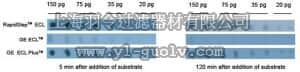merck millipore,默克密理博,345818,RapidStep™ ECL Reagent