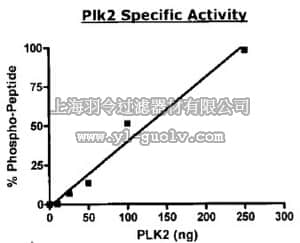 merck millipore,默克密理博,346104,Plk2, GST- Fusion, Human, Recombinant, S. frugiperda