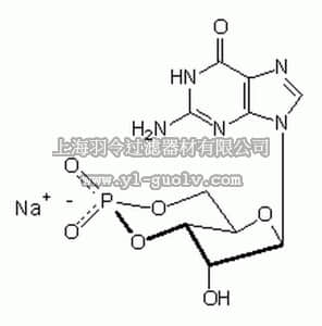 merck millipore,默克密理博,370656,Guanosine 3ʹ,5ʹ-cyclic Monophosphate, Sodium Salt - CAS 40732-48-7 - Calbiochem