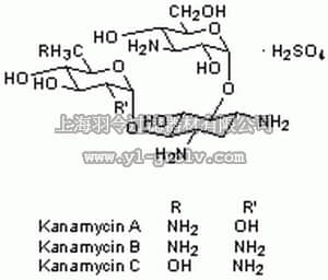 merck millipore,默克密理博,420311,Kanamycin Sulfate, Streptomyces kanamyceticus - CAS 25389-94-0 - Calbiochem