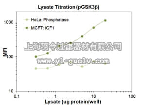 merck millipore,默克密理博,46-602MAG,MILLIPLEX MAP Phospho ERK/MAPK 1/2 (Thr185/Tyr187) Magnetic Bead MAPmate - Cell Signaling Single Plex