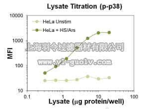 merck millipore,默克密理博,46-610MAG,MILLIPLEX MAP Phospho p38α/SAPK2 (Thr180/Tyr182) Magnetic Bead MAPmate™ - Cell Signaling Multiplex Assay