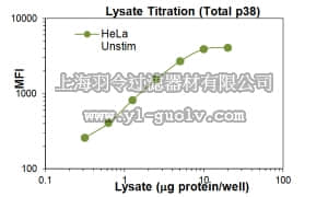 merck millipore,默克密理博,46-612MAG,MILLIPLEX MAP Total p38α/SAPK2  Magnetic Bead MAPmate™ - Cell Signaling Multiplex Assay