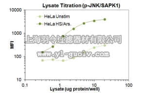 merck millipore,默克密理博,46-613MAG,MILLIPLEX MAP Phospho JNK/SAPK1 (Thr183/Tyr185) Magnetic Bead MAPmate - Cell Signaling Single Plex
