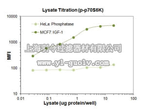 merck millipore,默克密理博,46-629MAG,MILLIPLEX MAP Phospho p70S6K (Thr412) Magnetic Bead MAPmate - Cell Signaling Single Plex or Multiplex Assay