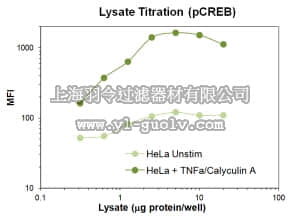 merck millipore,默克密理博,46-631MAG,MILLIPLEX MAP Phospho CREB (Ser133) Magnetic Bead MAPmate™ - Cell Signaling Multiplex Assay