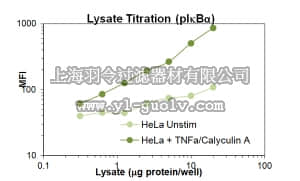 merck millipore,默克密理博,46-643MAG,MILLIPLEX MAP Phospho IκBα (Ser32) Magnetic Bead MAPmate™ - Cell Signaling Multiplex Assay