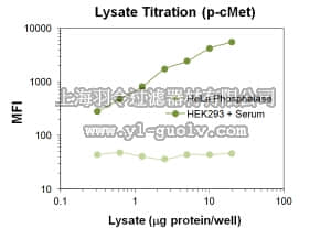 merck millipore,默克密理博,46-651MAG,MILLIPLEX MAP Phospho c-Met/HGFR (panTyr) Magnetic Bead MAPmate™ - Cell Signaling Multiplex Assay
