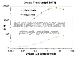 merck millipore,默克密理博,46-655MAG,MILLIPLEX MAP Phospho STAT1 (Tyr701) Magnetic Bead MAPmate - Cell Signaling Single Plex Assay