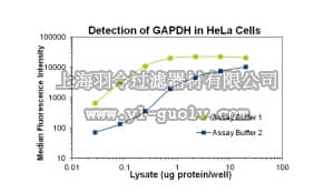 merck millipore,默克密理博,46-667MAG,MILLIPLEX MAP GAPDH Total Magnetic Bead MAPmate™ - Cell Signaling Single Plex or Multiplex Assay