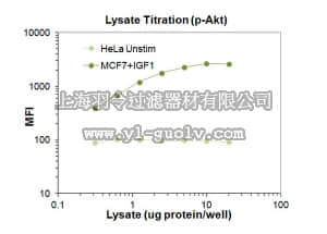 merck millipore,默克密理博,46-677MAG,MILLIPLEX MAP Phospho Akt (Ser473) Magnetic Bead MAPmate - Cell Signaling Single Plex